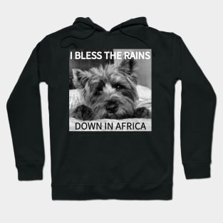 TOTO Hoodie